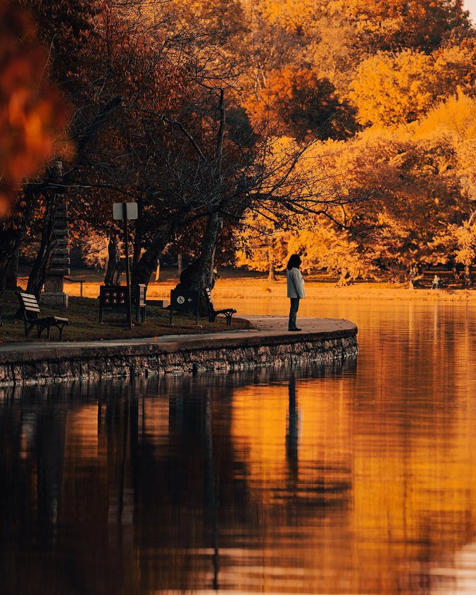 Fall foliage at the Tidal Basin 