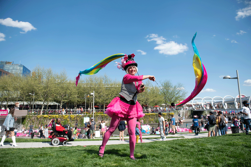 National Cherry Blossom Festival