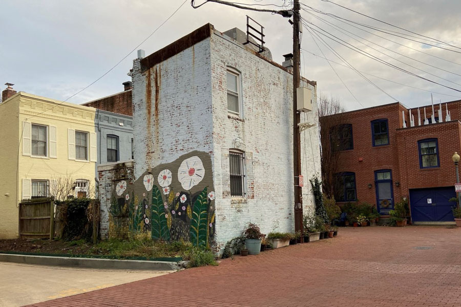 Elizabeth Graeber's Garden mural 