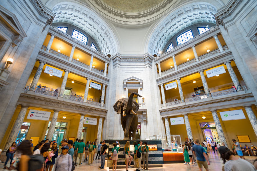 Natural History Museum