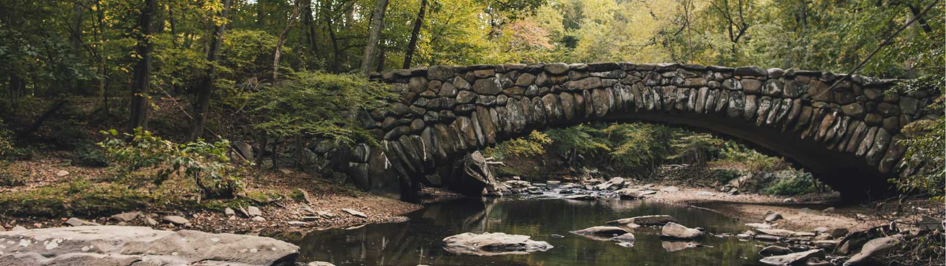 Rock Creek Park Image